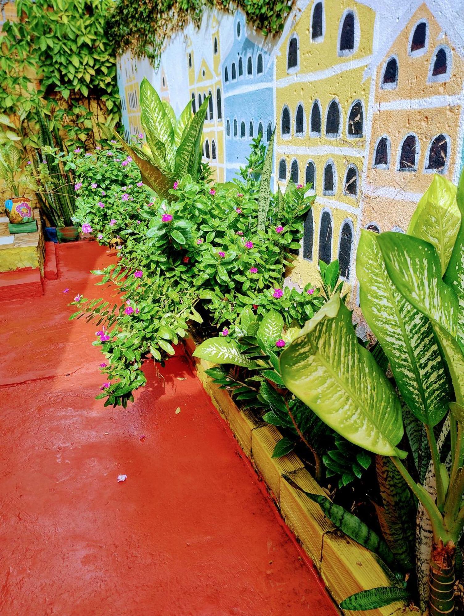 Perto Do Aeroporto De Salvador - Dona Pitanga Hostel Lauro de Freitas Dış mekan fotoğraf