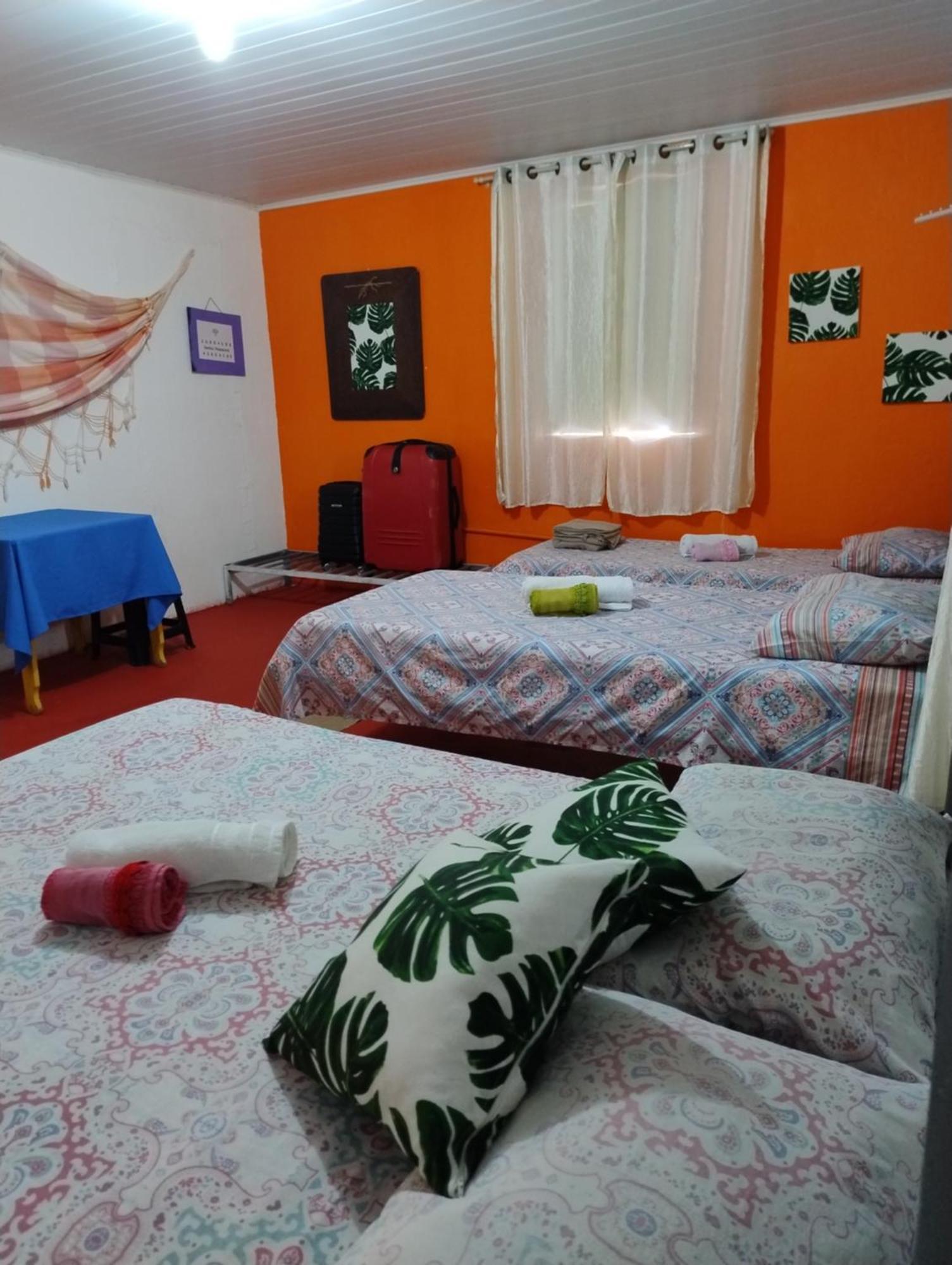 Perto Do Aeroporto De Salvador - Dona Pitanga Hostel Lauro de Freitas Dış mekan fotoğraf
