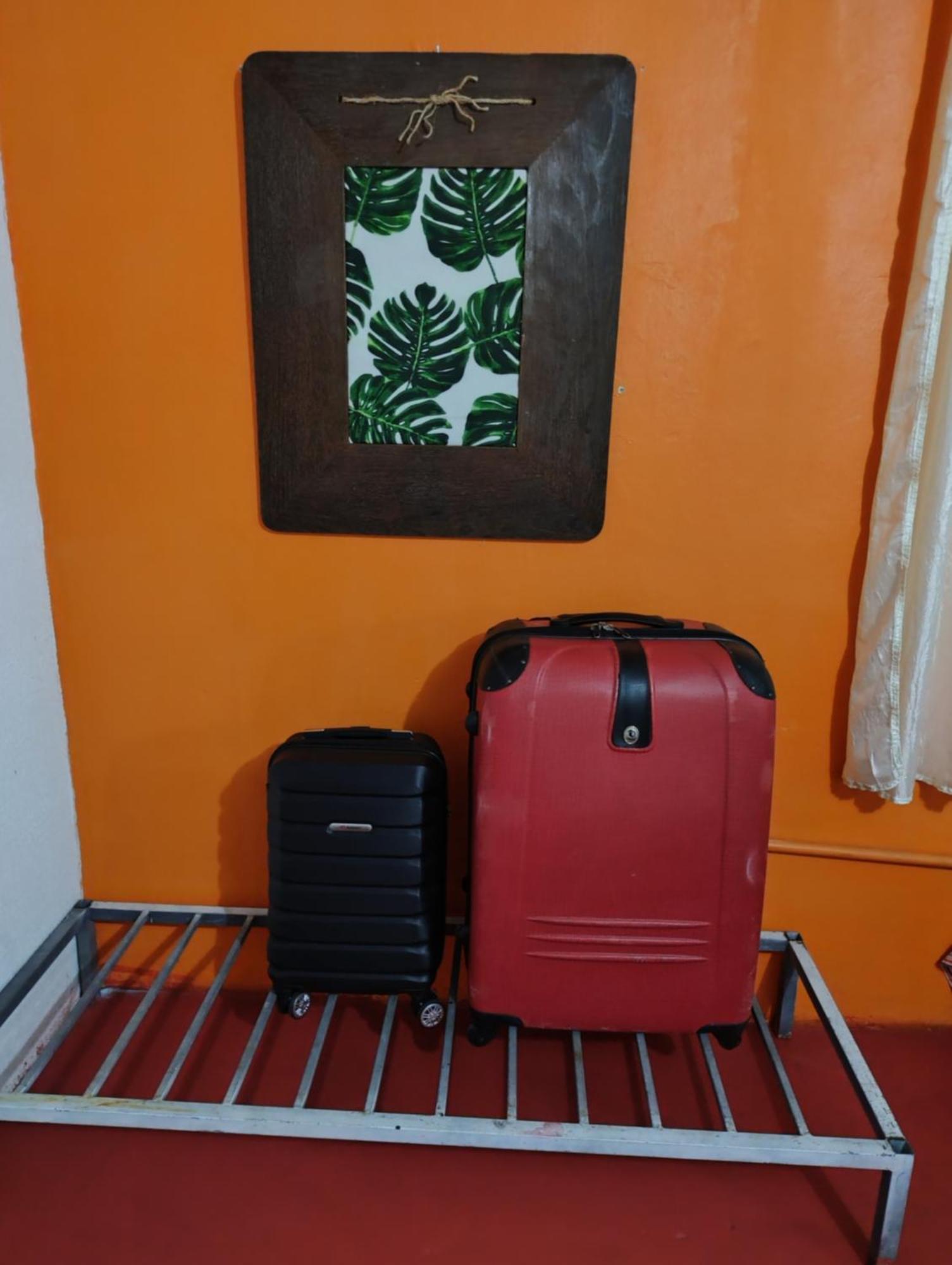Perto Do Aeroporto De Salvador - Dona Pitanga Hostel Lauro de Freitas Dış mekan fotoğraf